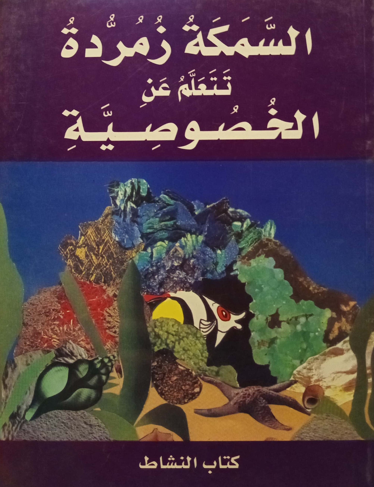 كتاب النشاط - السمكة زمردة تتعلم عن الخصوصية