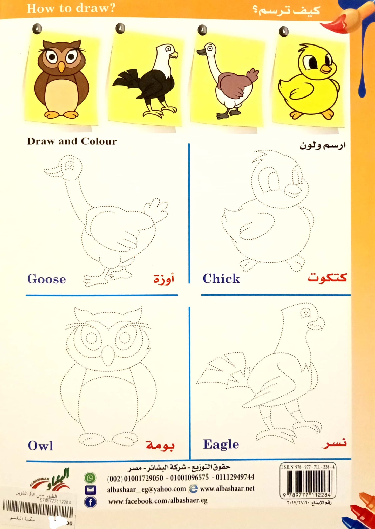 الطيور - سلسلة عالم التلوين والرسم الممتع