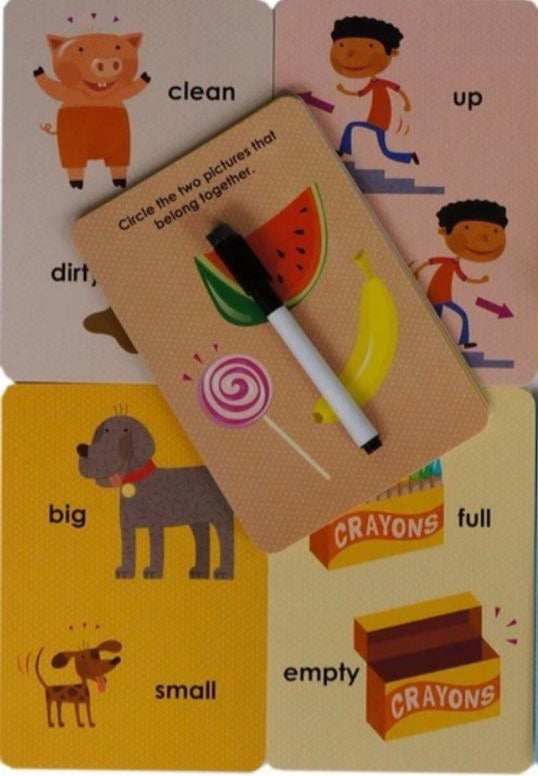 Write-On Wipe-Off Learning Cards: School Skills