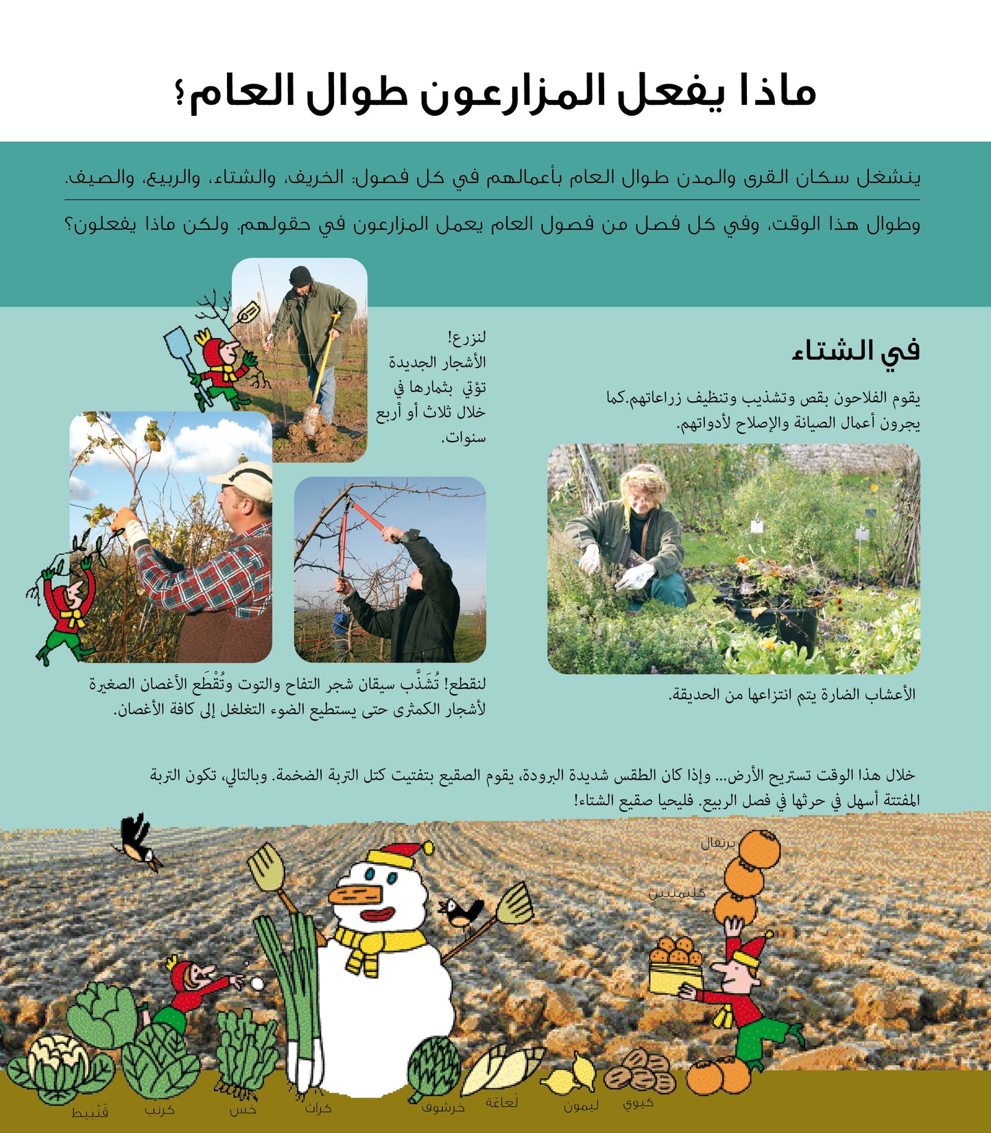 كيف تنمو الفاكهة والخضراوات والحبوب؟ - سلسلة ملف الاستكشاف