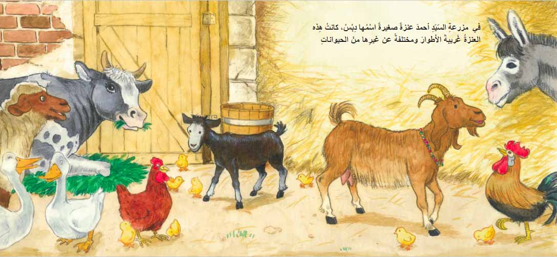 دبس