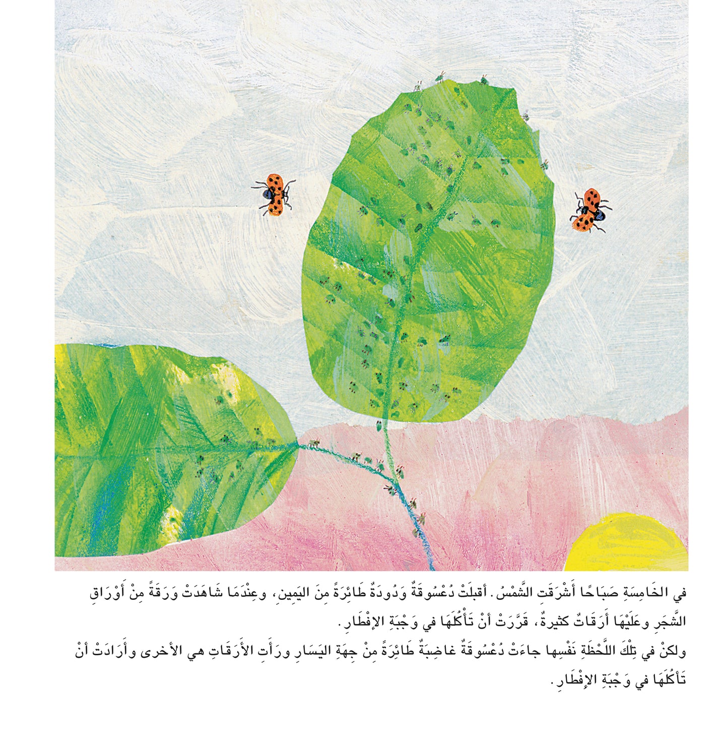 الحشرة الغاضبة