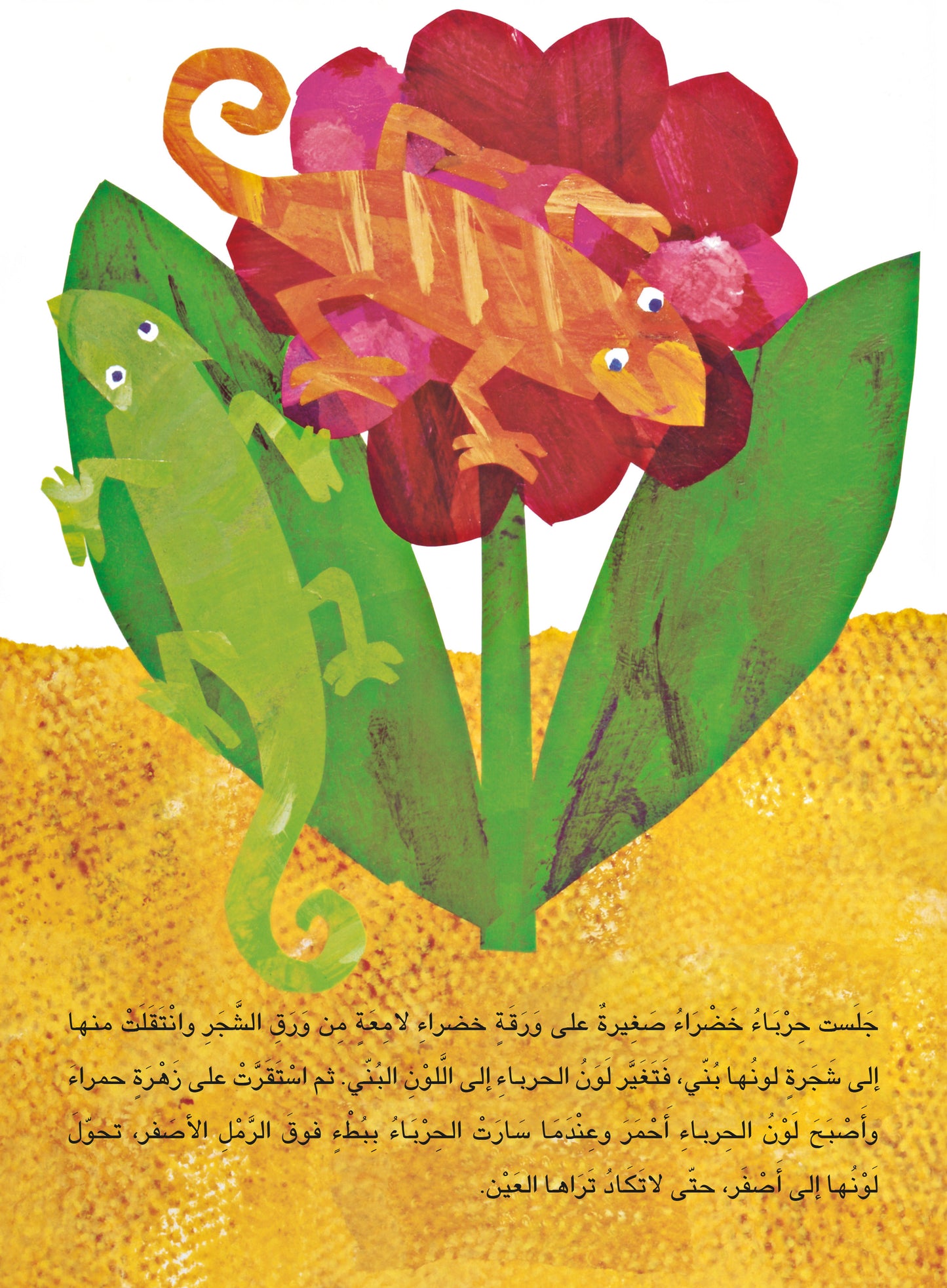 الحرباء الحائرة
