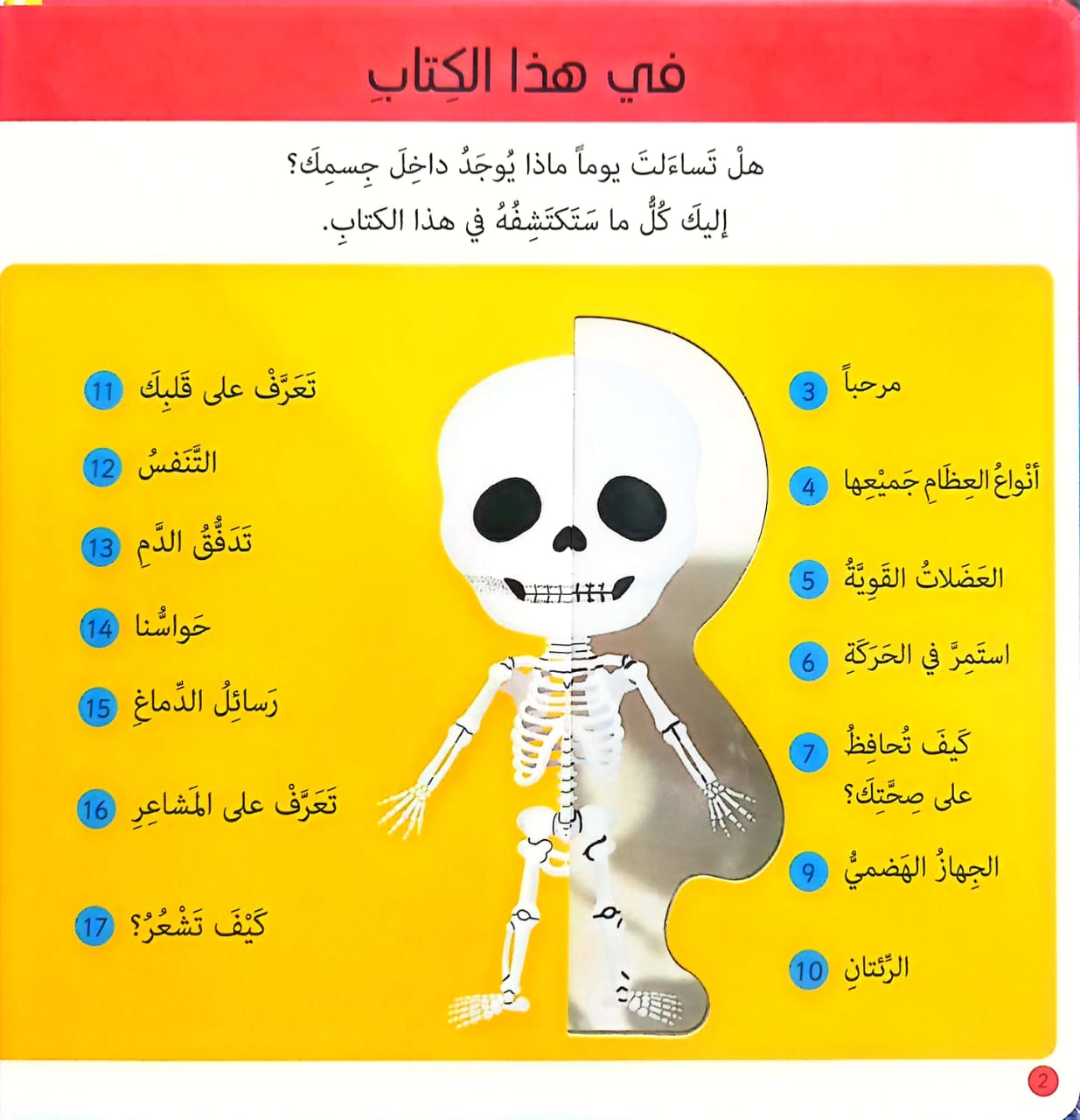 جسم الإنسان - سلسلة كتابي الأول - ورق مقوى