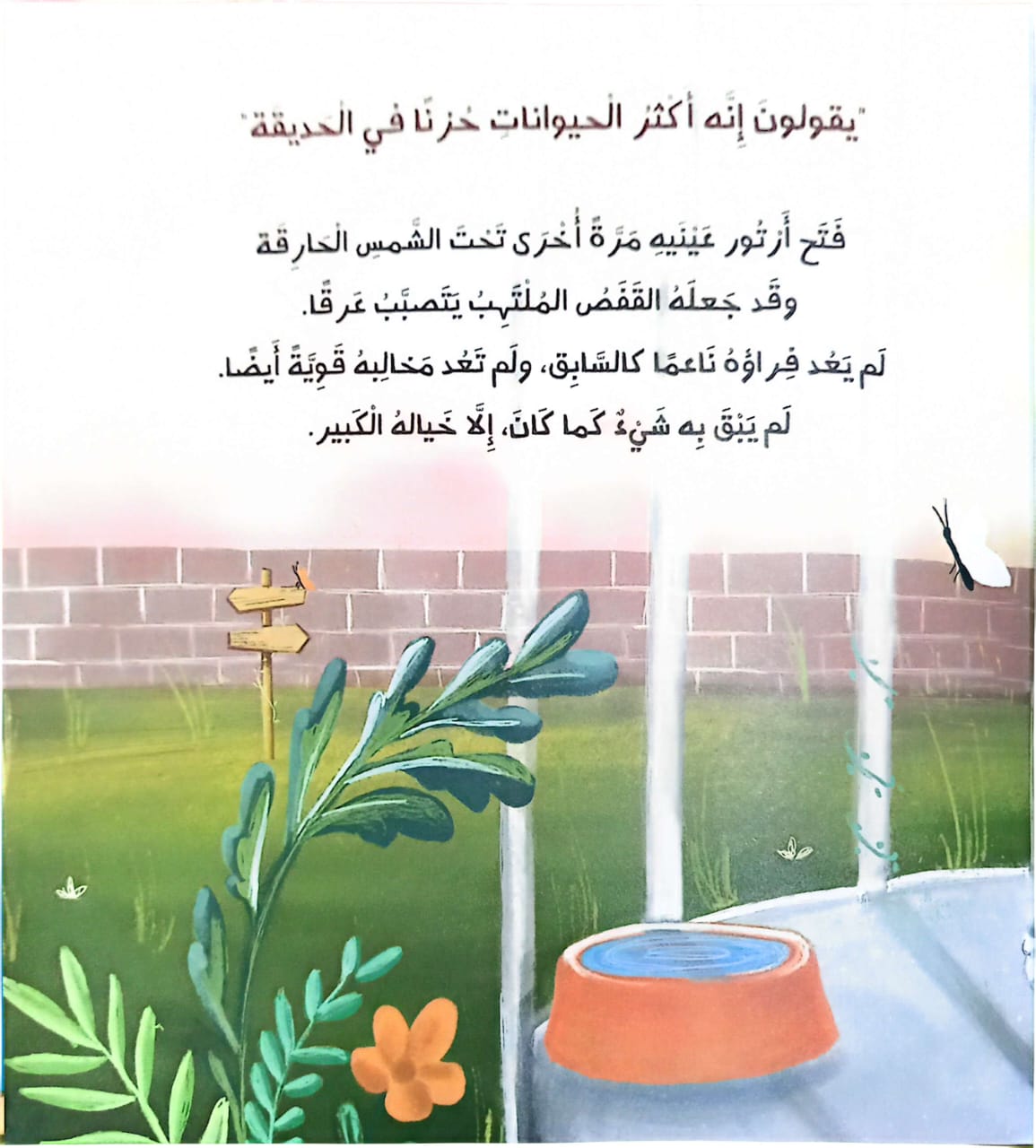 خطوة نحو السعادة