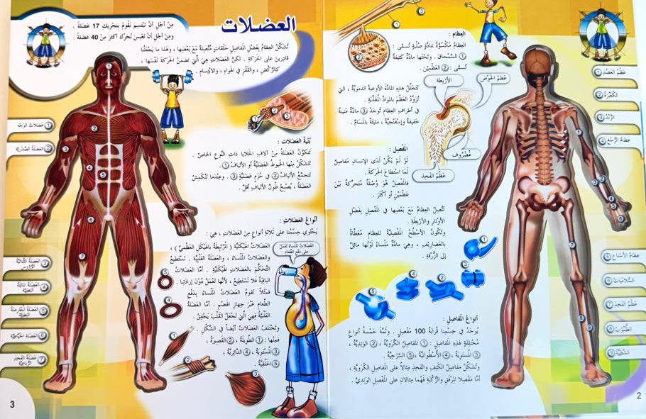 موسوعة جسم الإنسان - غلاف مُقوّى