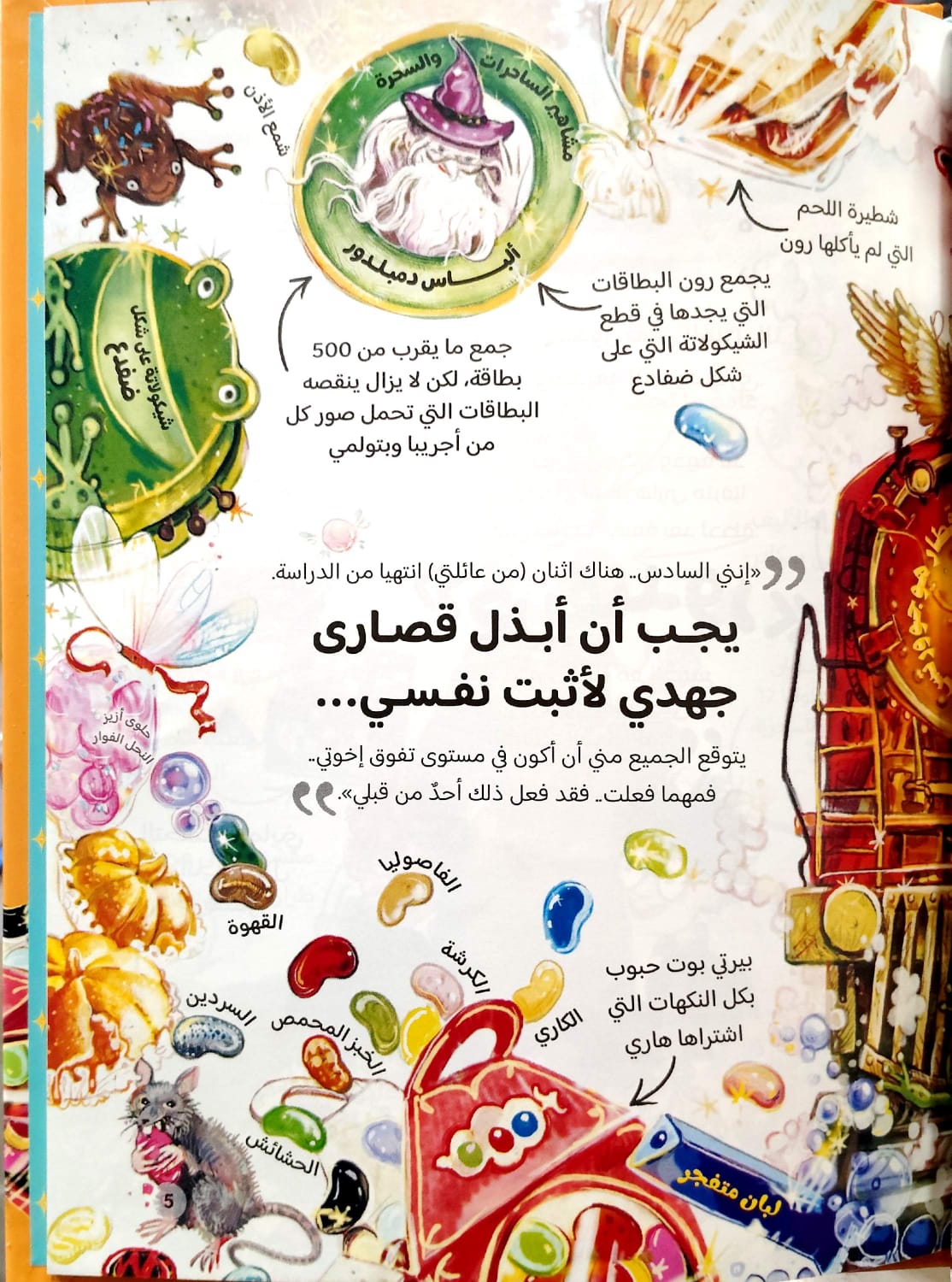 رون ويزلي - الدليل السحري لقصص هاري بوتر  - سلسلة هاري بوتر للجيب