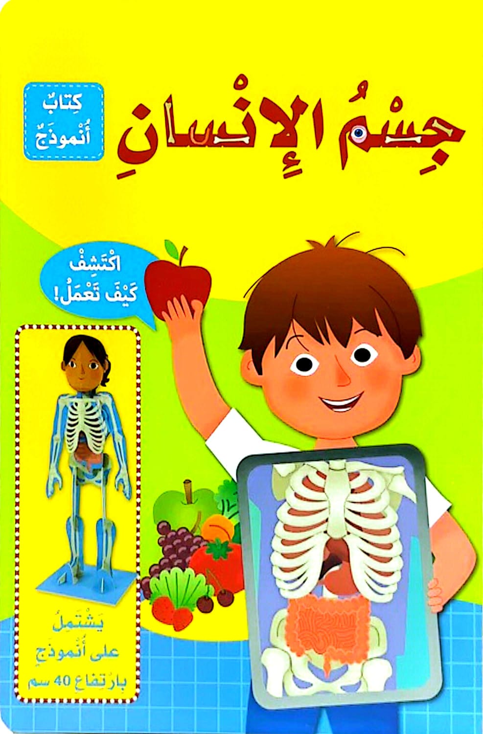 جسم الإنسان كتاب أنموذج - ورق مُقوّى