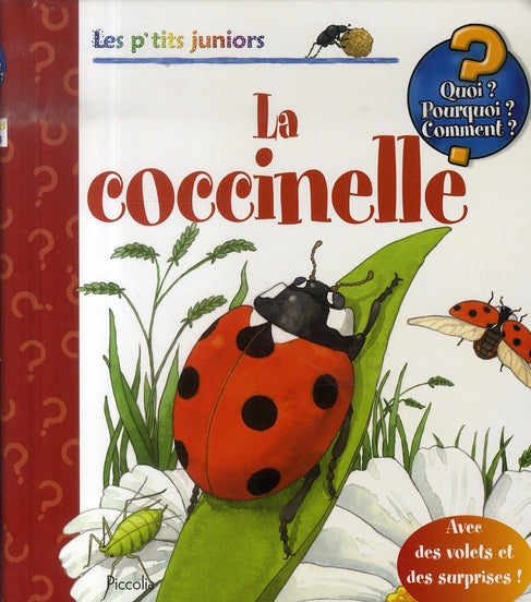 La Coccinelle - Les P'tits Juniors