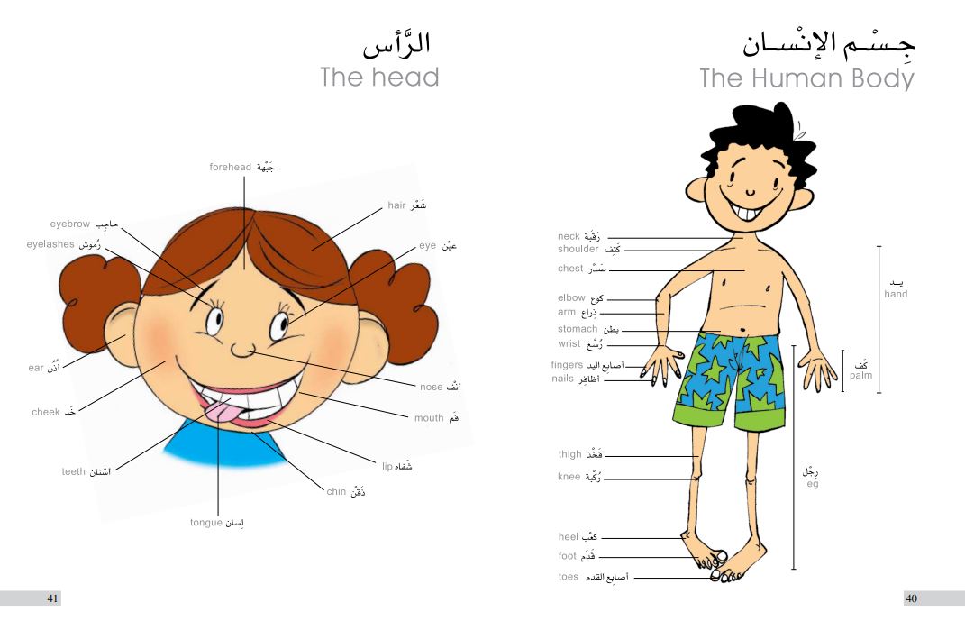 كلماتي الأولى - غلاف مُقوّى - My First Words