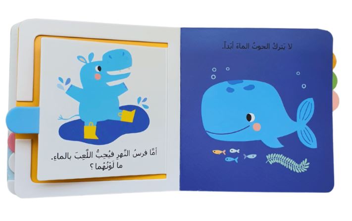 الألوان - سلسلة  خلف كل صفحة مفاجأة - ورق مُقوّى