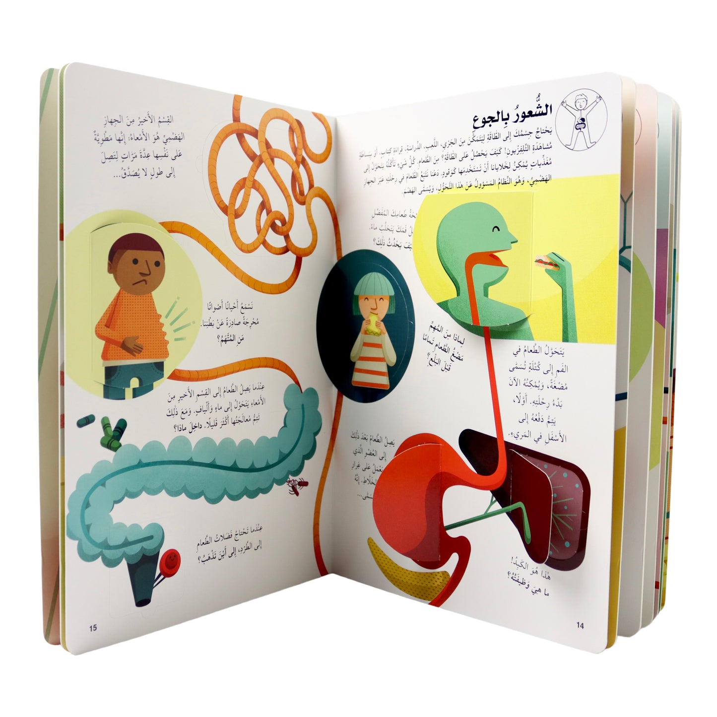 اكتشف جسم الإنسان - افتح النافذة واكتشف بأكثر من 60 طية داخل الكتاب - ورق مُقوّى