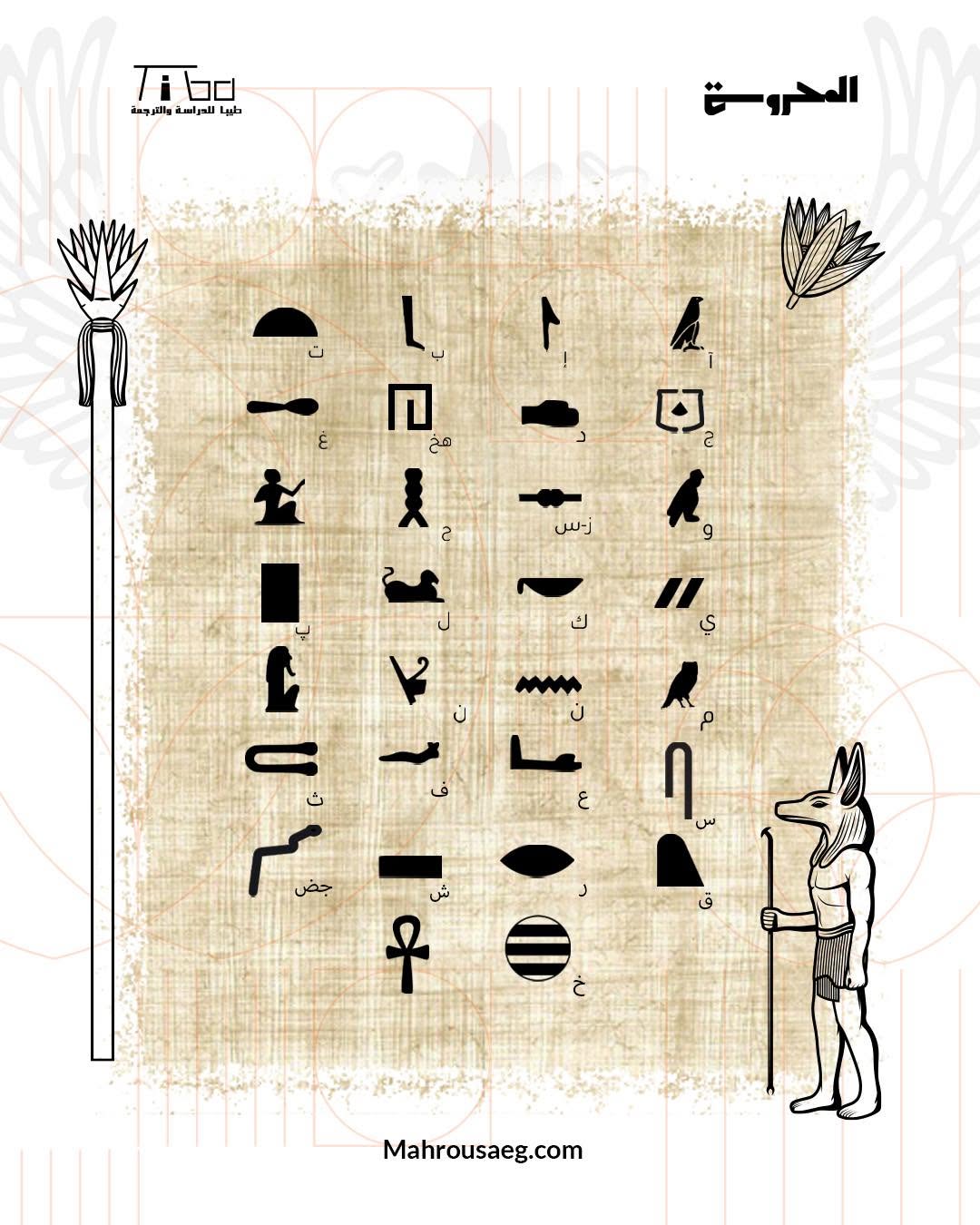 حكاوي مصرية: ترجمة بردية وستكار + قصص بردية وستكار مصورة - كتابين