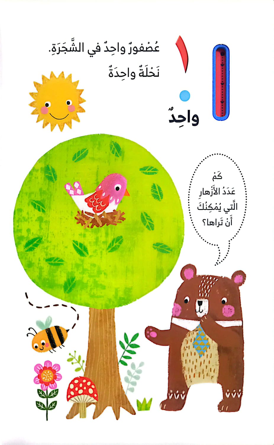 أرقام أحبها - كتاب اسفنجي