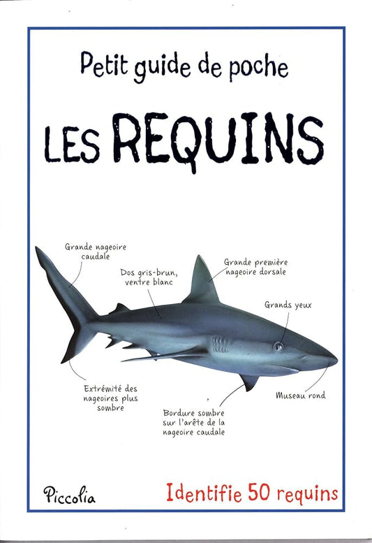 Les Requins - Les Petit Guide De Poche