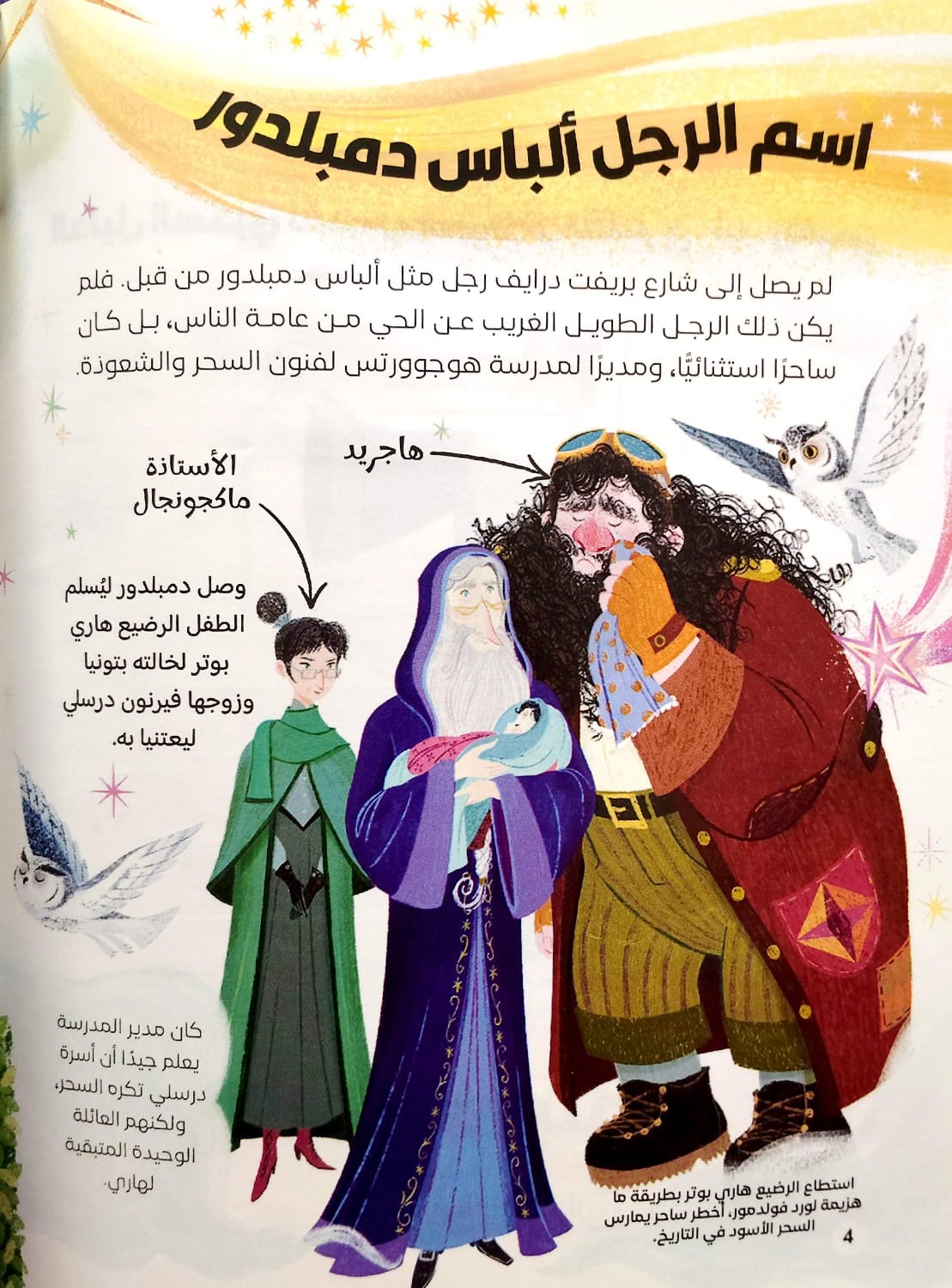 الأستاذ دمبلدور - الدليل السحري لقصص هاري بوتر  - سلسلة هاري بوتر للجيب