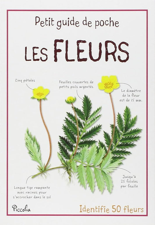 Les Fleurs - Les Petit Guide De Poche