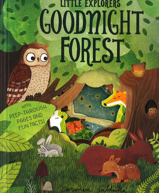 Little Explorers: Goodnight Forest - Board book