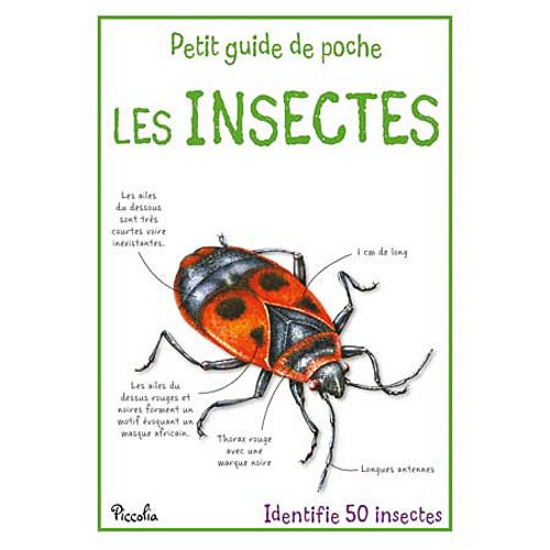 Les Insectes - Les Petit Guide De Poche – Al-Balsam Bookstore