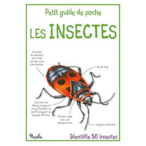 Les Insectes - Les Petit Guide De Poche