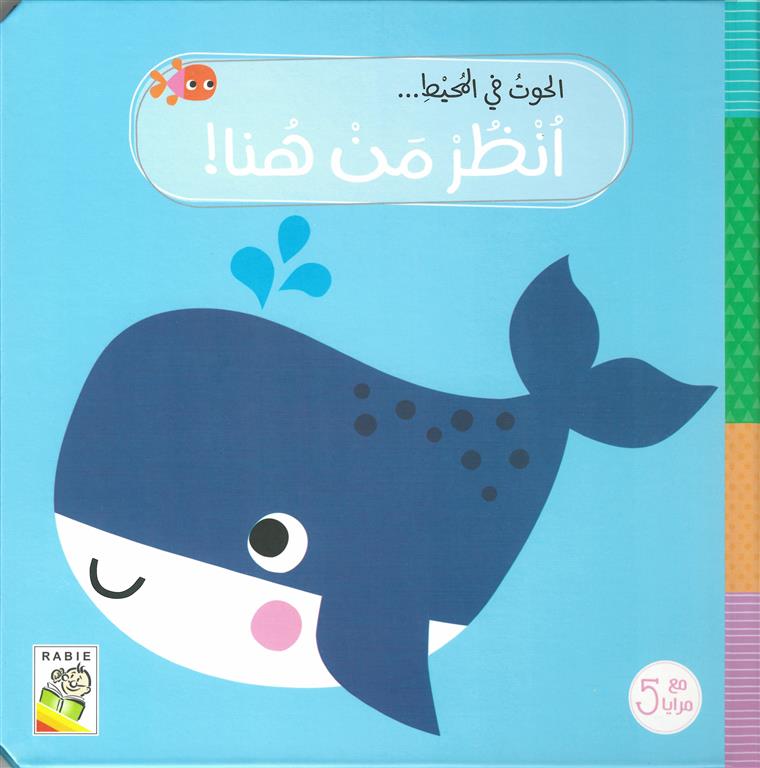 الحوت في المحيط - سلسلة انظر من هنا - مع 5 مرايا - ورق مُقوّى