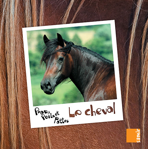 Le Cheval - Peau poils et Pattes