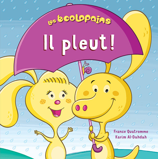 Il Pleut - Les Ecolopains - Tout Carton Mousse