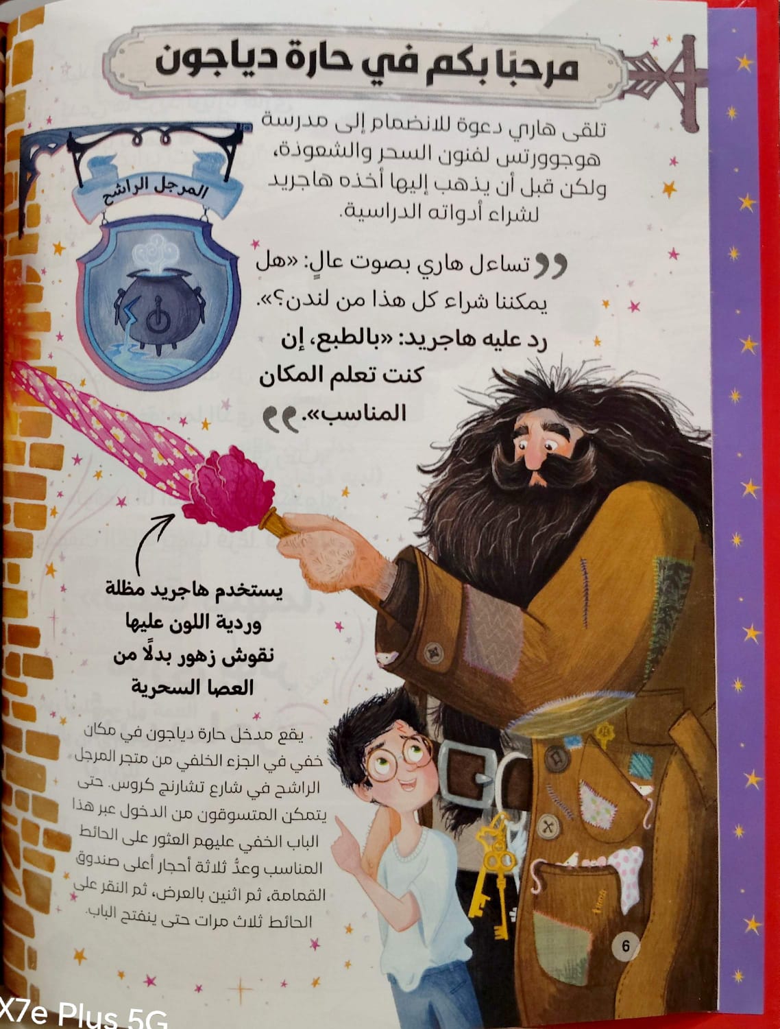 هاري بوتر - الدليل السحري لقصص هاري بوتر  - سلسلة هاري بوتر للجيب