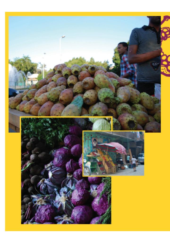 The Taste of Egypt Home Cooking from the Middle East