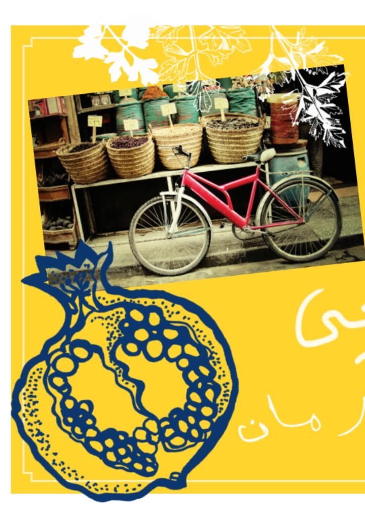 The Taste of Egypt Home Cooking from the Middle East