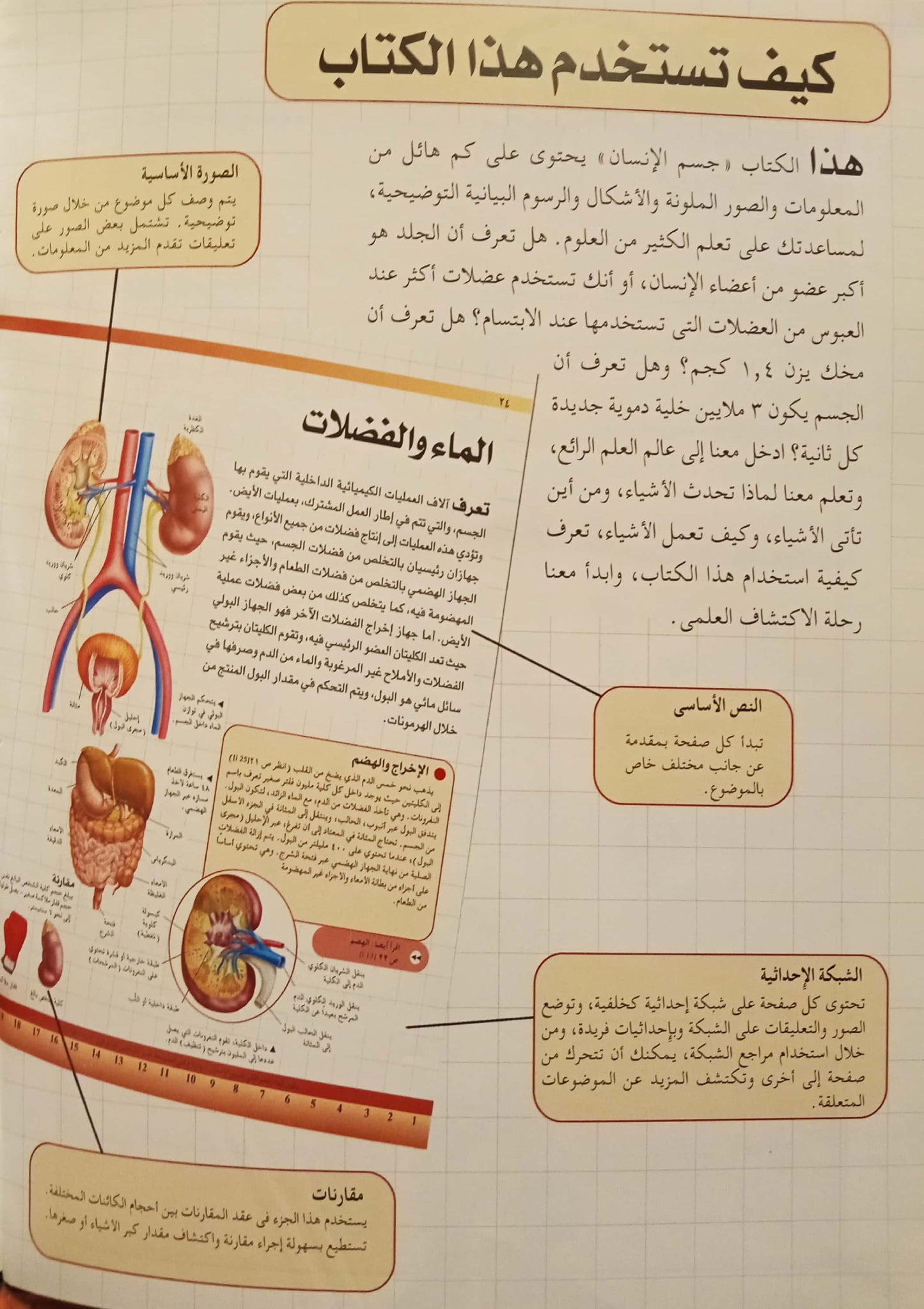 جسم الإنسان - سلسلة مجلدات المكتبة العلمية - غلاف مُقوّى