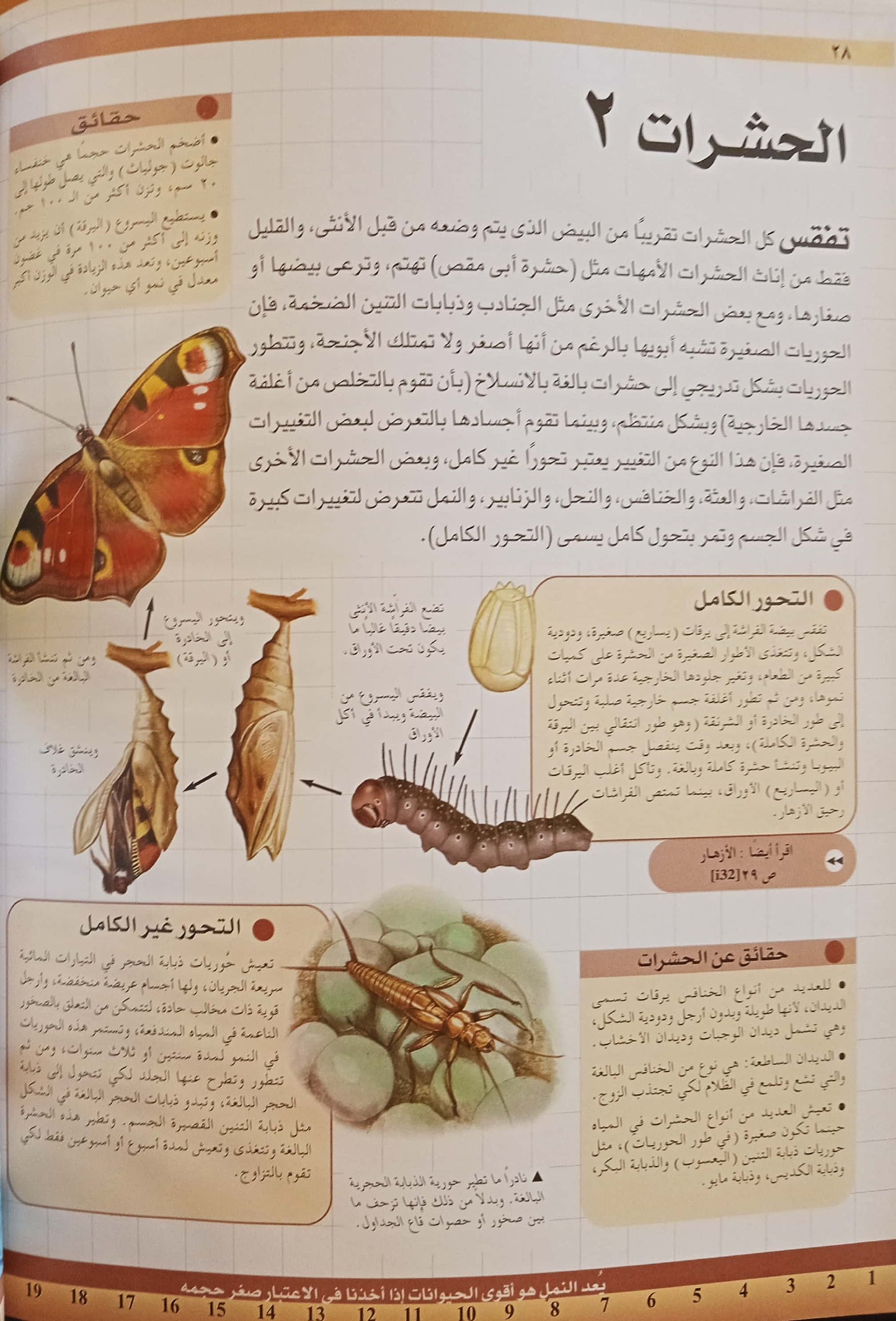 الحيوانات البرية - سلسلة مجلدات المكتبة العلمية - غلاف مُقوّى