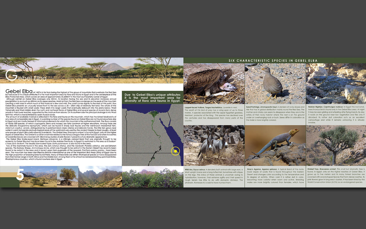 Egypt's Wilderness and the Quest for Conservation