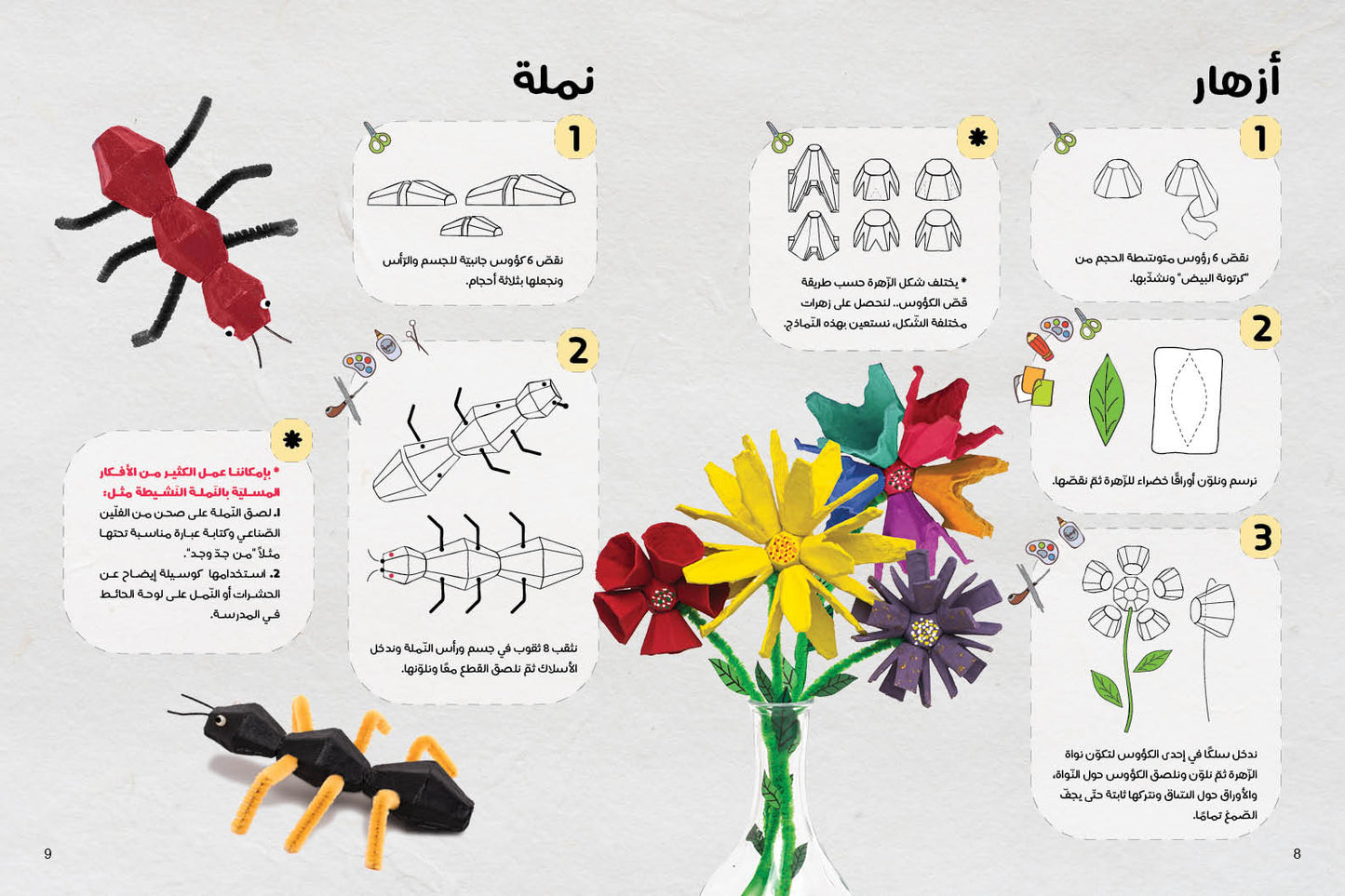 كرتونة البيض العجيبة - الجزء الثاني