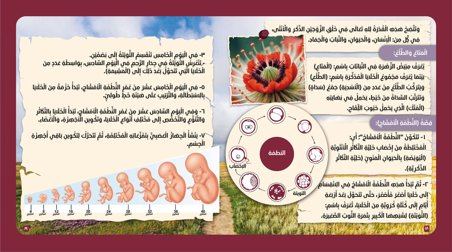 كتاب الإنسان في القرآن الكريم - سلسلة الإعجاز العلمي في القرآن الكريم