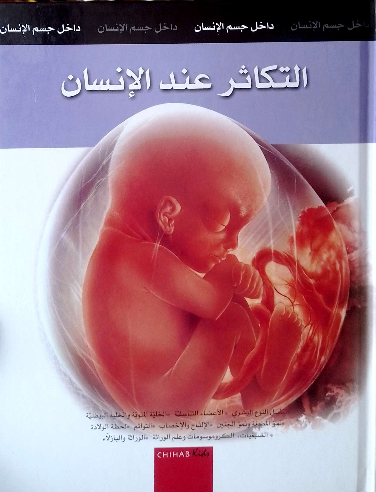 التكاثر عند الإنسان : سلسلة داخل جسم الإنسان - غلاف مُقوّى
