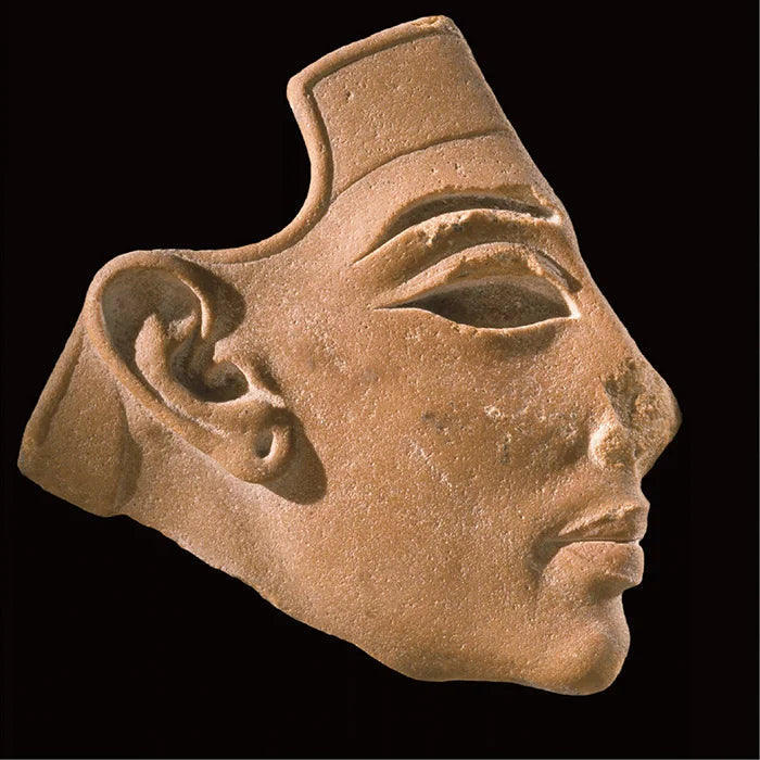Amarna Art - Hardcover