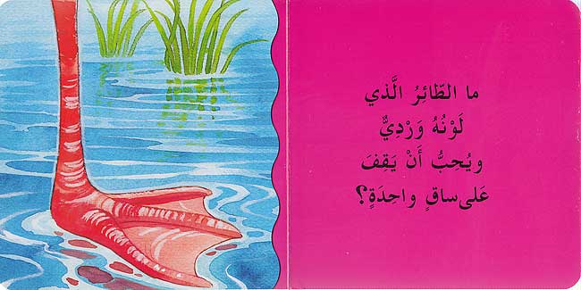 أقدام من هذه؟ - سلسلة  لمن هذا - ورق مُقوّى