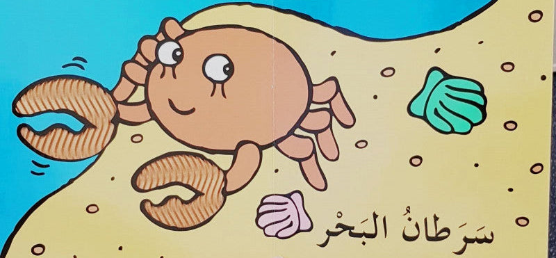 نرى في البحر - سلسلة  كتب جديدة مفيدة - ورق مُقوّى