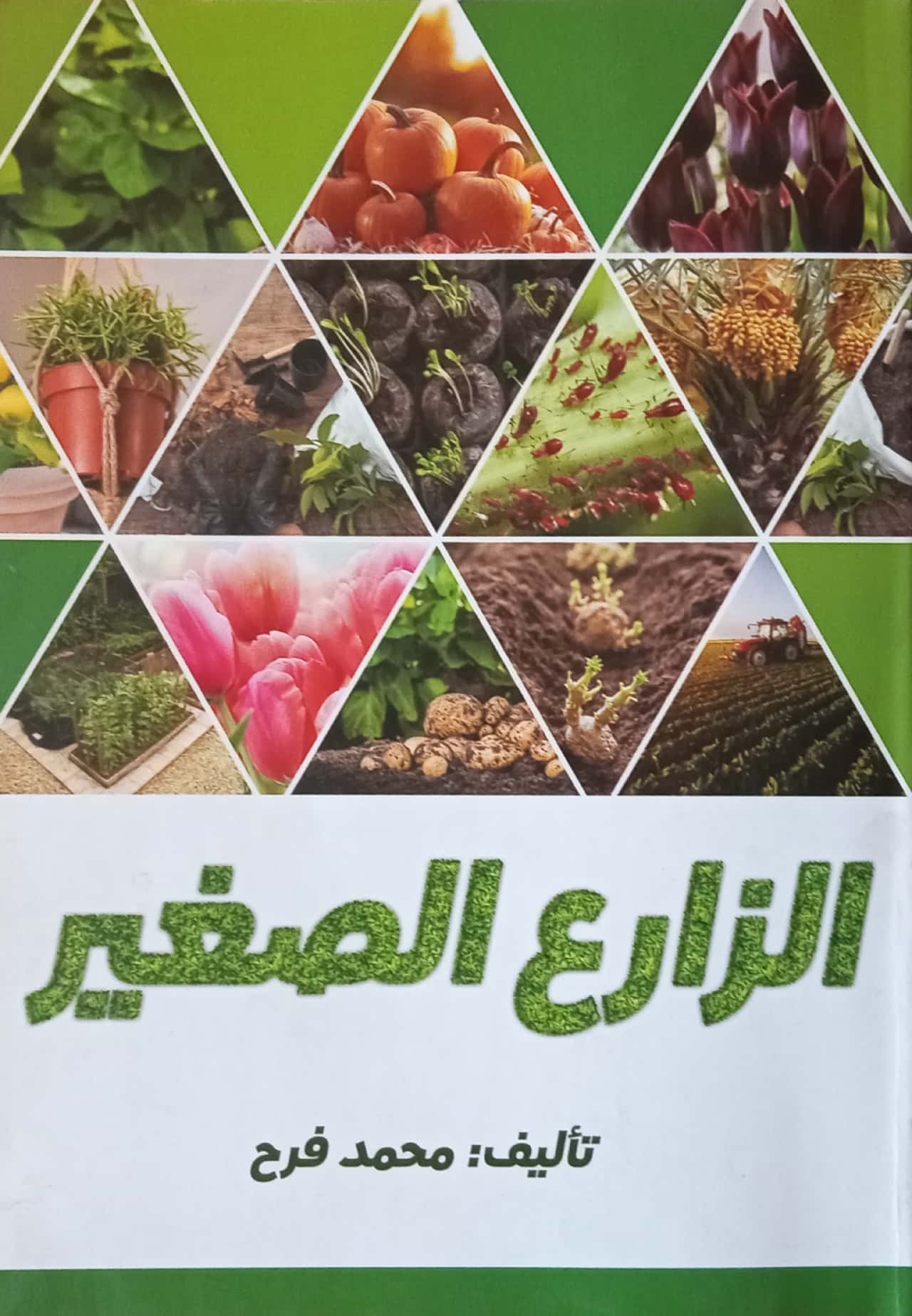 الزارع الصغير