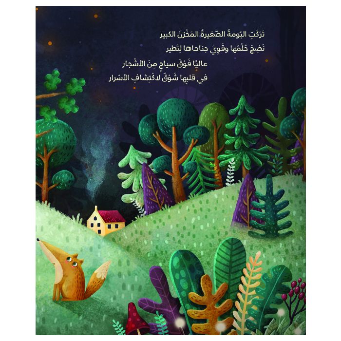 ألحان الليل - غلاف مُقوّى